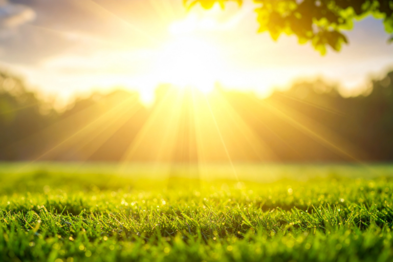 A picture showing sun shining on a green field